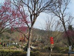 -第一山景区