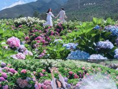 -爱我旅拍婚纱摄影(大理店)