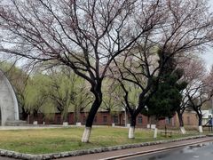 -吉林大学(南岭校区)
