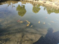 -白马涧龙池景区