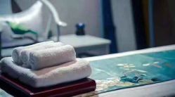 -奈瑞儿美颜美养SPA