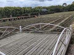 -广东花都香草世界旅游度假区