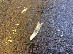 -清真华宇开锅羊肉