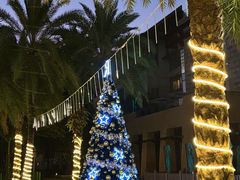 -三亚海棠湾万丽度假酒店