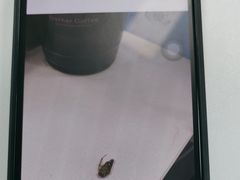 -及咖啡GatherCoffee(华申大厦店)