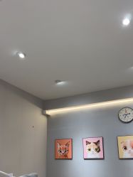 -洗脸猫·洗脸吧