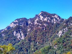-王顺山国家森林公园