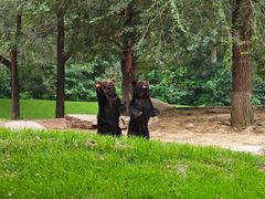 -北京野生动物园