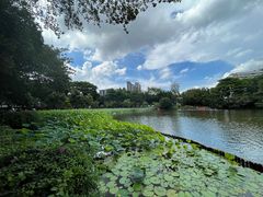 -荔湾湖公园