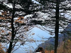 -峨眉山风景名胜区