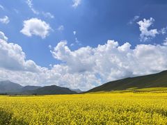 -扁都口生态休闲旅游区