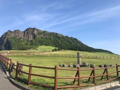 -校村炸鸡(塔洞店)