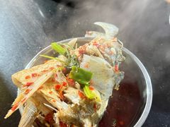 -老杨砂锅鱼庄