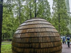 -黄海国家森林公园