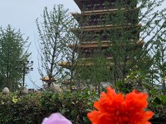 -牛首山文化旅游区