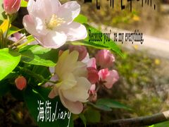 -海棠花溪(元大都城垣遗址公园)