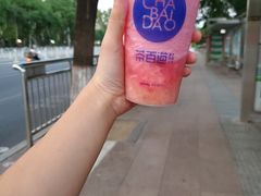 桃桃乌龙-茶百道(昌平府学路店)