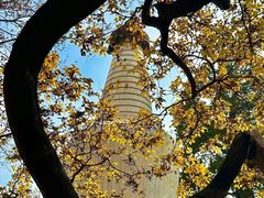 -大觉寺-停车场