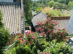 -潭柘寺景区