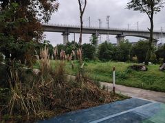 -白鹭湾湿地公园