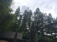 璞丽酒店-上海璞麗酒店
