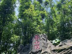 -东莞市大岭山森林公园