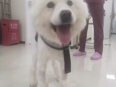 -美联众合动物医院·24h京西诊疗中心