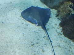 -福州罗源湾海洋世界旅游区