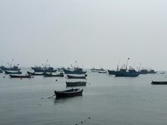 -海源公园