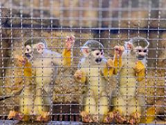 -成都浩海立方海洋公园