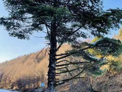 -硗碛藏寨·神木垒景区