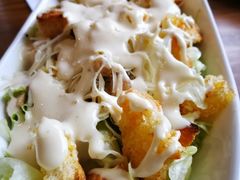 -百好乐宠物友好餐厅(朝外大街店)