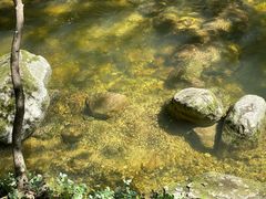 -牛背梁国家森林公园