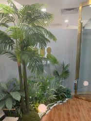 -八佰伴8008星级形象店