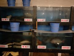 水产区-岭南海晏楼(滨江东总店)