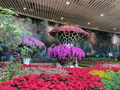 -花之城