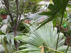 -南宫五洲植物乐园