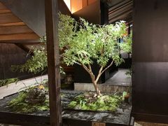 -锦城印象火锅(天府三街店)