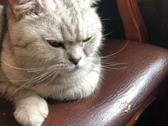 -不舍昼夜咖啡馆