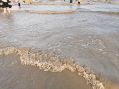 -碧海金沙