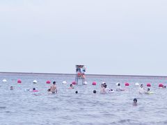 -碧海金沙
