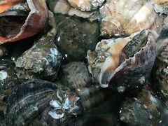-望海潮海鲜店 特色家常菜(在海一方店)