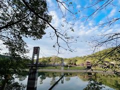 -黄椅山火山森林公园