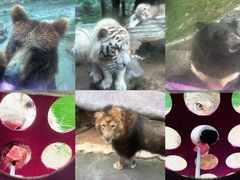 -北京野生动物园