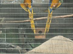 -成都动物园