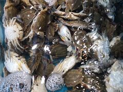 -港畔赶海蒸汽海鲜烧烤自助(仙螺岛店)