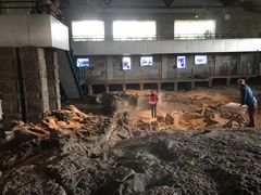 -自贡恐龙博物馆