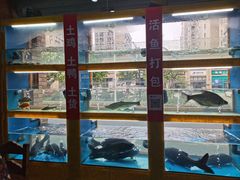 -淳安二十八道·美食汇·淳鱼馆(阳光路店)
