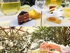 -tea'stone (万象天地店)