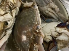 -杭州文化广播电视集团